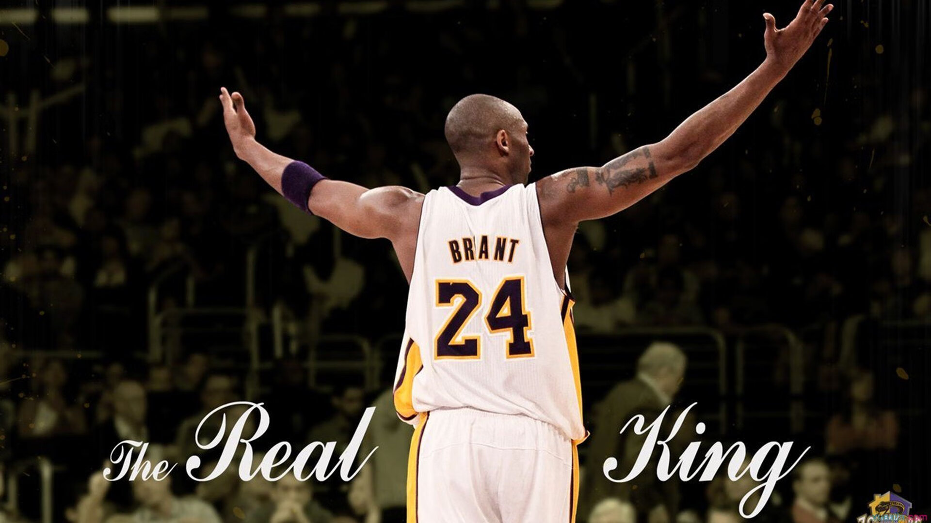 【新规则的战术变化】科技裁判如何促进比赛公平，科技运动会裁判员宣誓